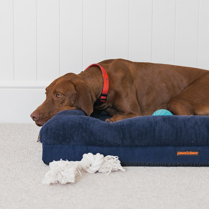 Paws & Claws WINSTON ORTHOPEDIC FOAM WALLED BED LGE 103X76X17CM NAVY