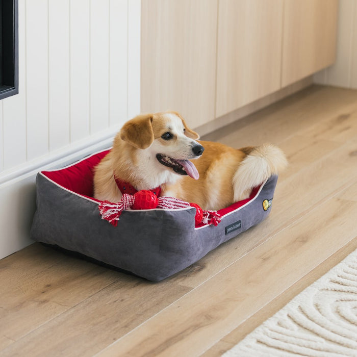 Paws & Claws SELF WARMING WALLED BED RED 70X50X17CM MEDIUM
