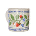 NSIMG-SHA256:b46dbe515241791a9dd991e1ba40c807f488bc8d3afa6b9d858bd9504ecb6672 · Isalbi Ulster Weavers Strawberry Patch New Bone China Mug Multi-Coloured