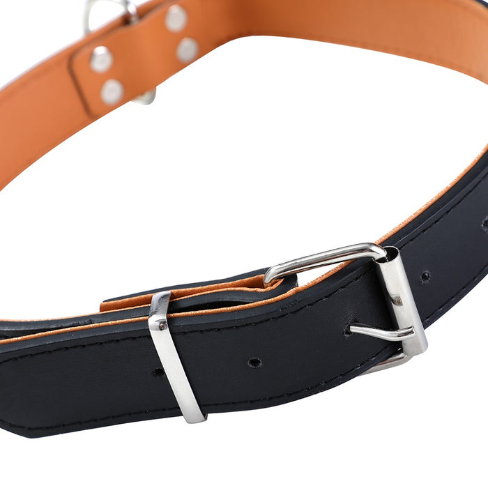 Paws & Claws PREMIUM ORIGINAL DOG COLLAR PADDED X-LGE 52-65X3CM