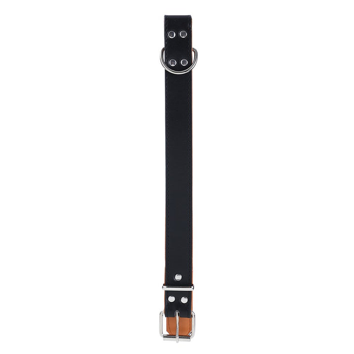 Paws & Claws PREMIUM ORIGINAL DOG COLLAR PADDED X-LGE 52-65X3CM