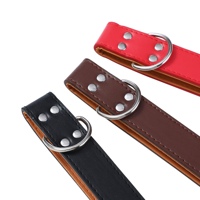 Paws & Claws PREMIUM ORIGINAL DOG COLLAR PADDED X-LGE 52-65X3CM