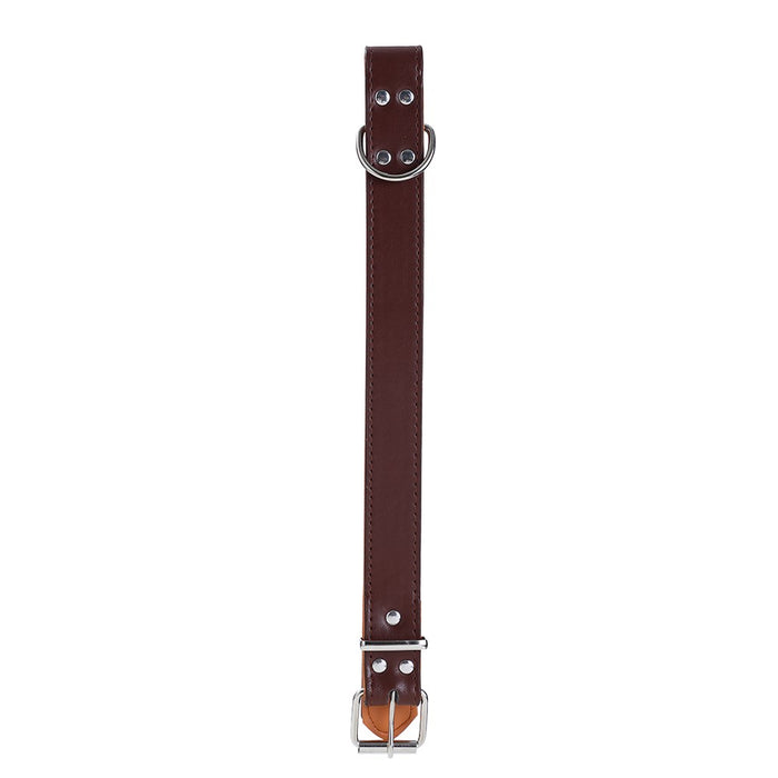 Paws & Claws PREMIUM ORIGINAL DOG COLLAR PADDED X-LGE 52-65X3CM