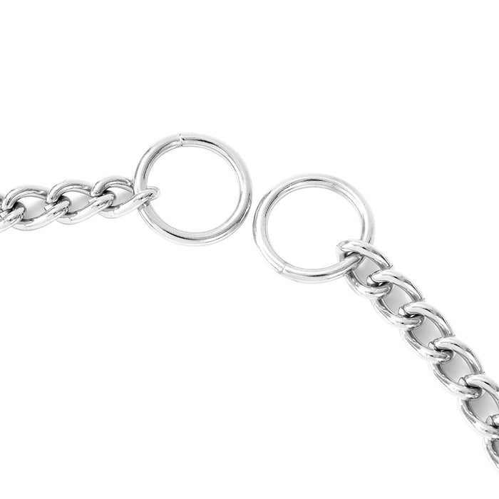 Paws & Claws CHAIN COLLAR X-LGE 3.5MM X 75CM