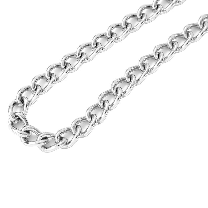 Paws & Claws CHAIN COLLAR X-LGE 3.5MM X 75CM