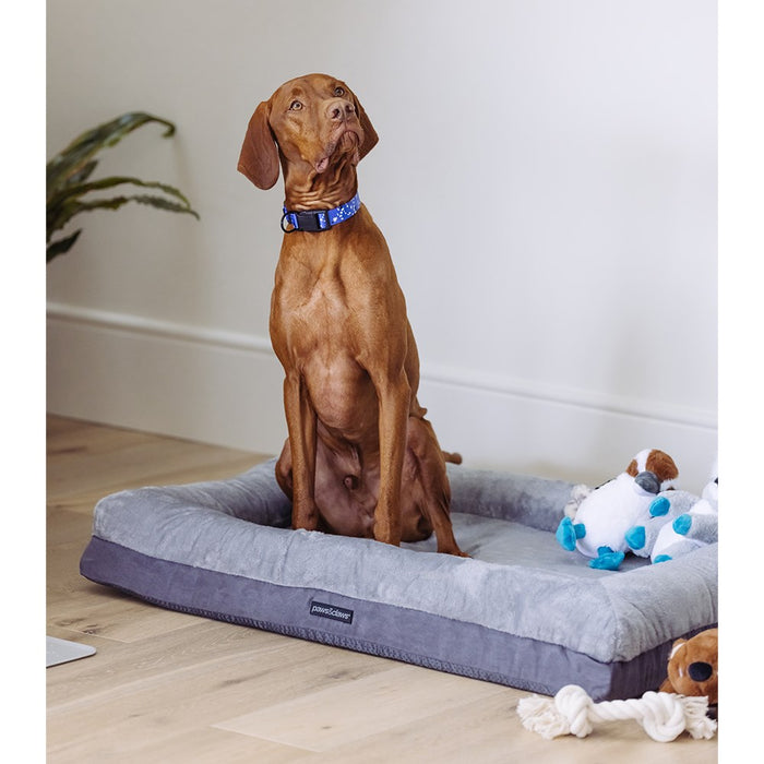 Paws & Claws WINSTON ORTHOPEDIC FOAM WALLED BED MED 70X50X17CM GREY
