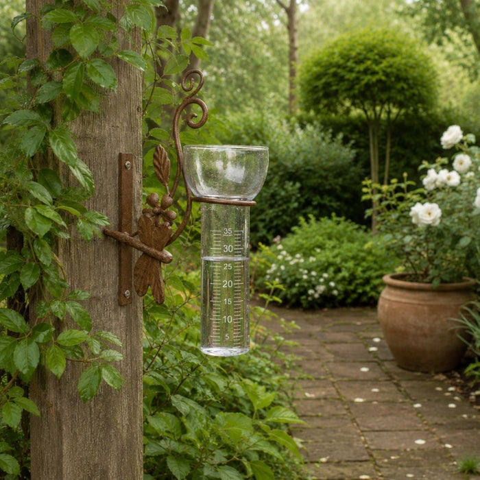2 set Dragonfly Rain Gauge