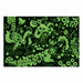 NSIMG-SHA256:effb83bd10607f8495aa88a872d56c94014320149e8330e8e92b818fd4a067b7 · Isalbi Mudpuppy Unicorn Glow in the Dark Puzzle-100pc Multi-Coloured