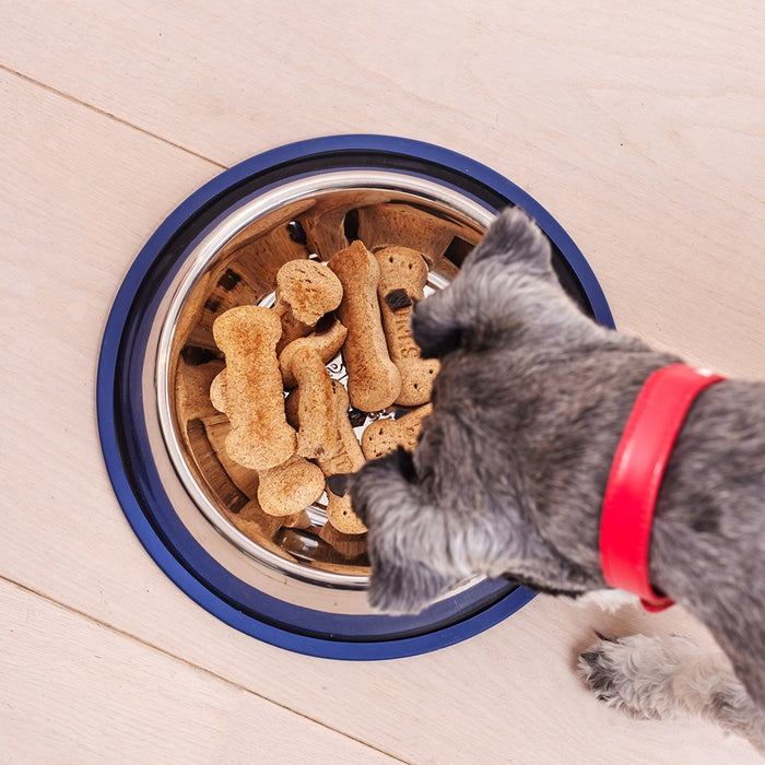 Paws & Claws STAINLESS STEEL PET BOWL BLUE ANTI-SKID 2L