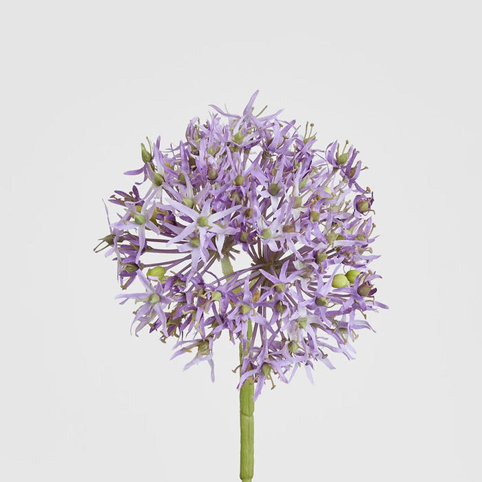 Allium Flower Stem 74cm Lavender