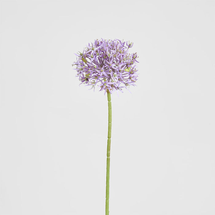 Allium Flower Stem 74cm Lavender