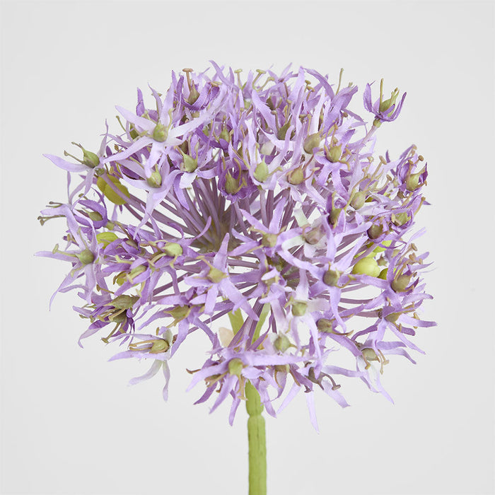 Allium Flower Stem 74cm Lavender