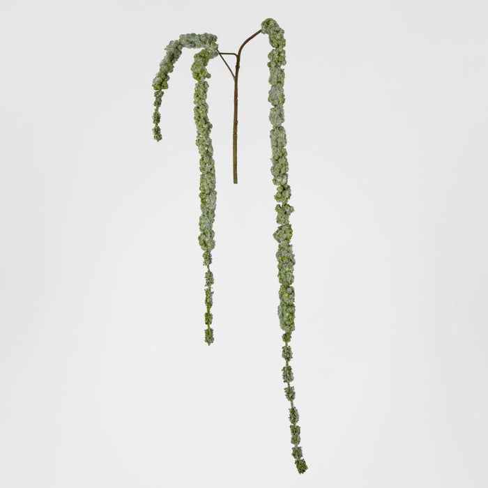Amaranthus Hanging Spray 1.45m Green