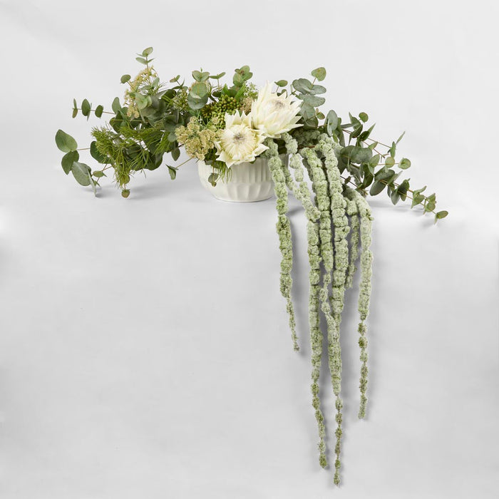 Amaranthus Hanging Spray 1.45m Green