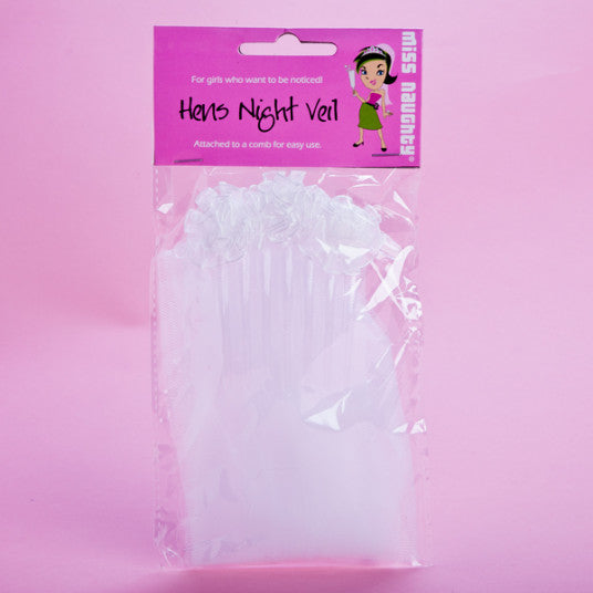 Hens Party Comb and Veil