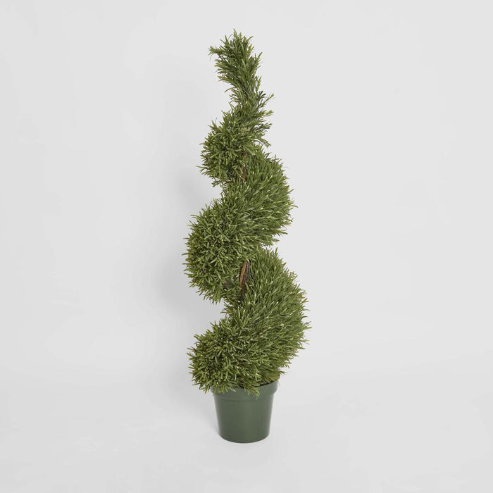 Rosemary Spiral Tree 1.2m