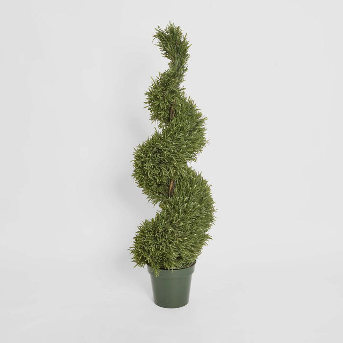 Rosemary Spiral Tree 1.2m