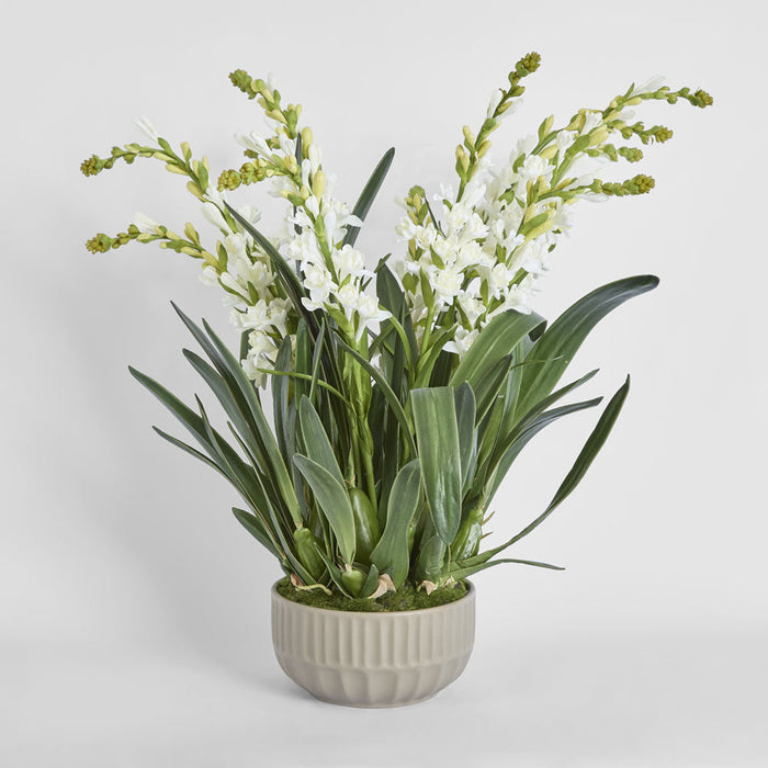 Ferne Arrangement Taupe