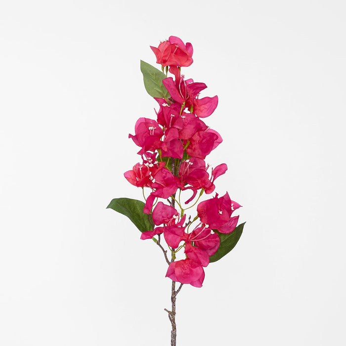 Bougainvillea Spray 75cm Fuchsia 12 pcs
