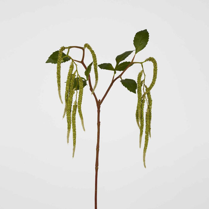 Amaranthus Hanging Plant 90cm Green 6 pcs