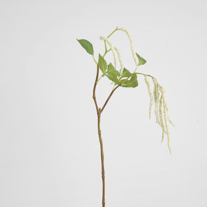 Amaranthus Hanging Plant 90cm White 6 pcs