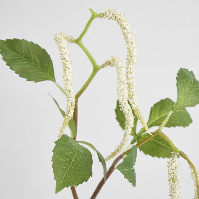 Amaranthus Hanging Plant 90cm White 6 pcs