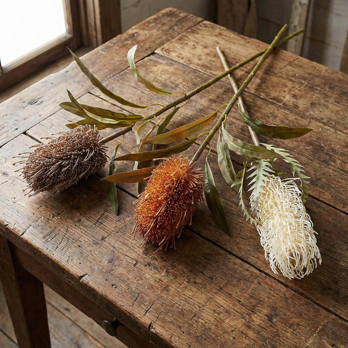 Dried Look Banksia Stem 75cm Cream 6 pcs