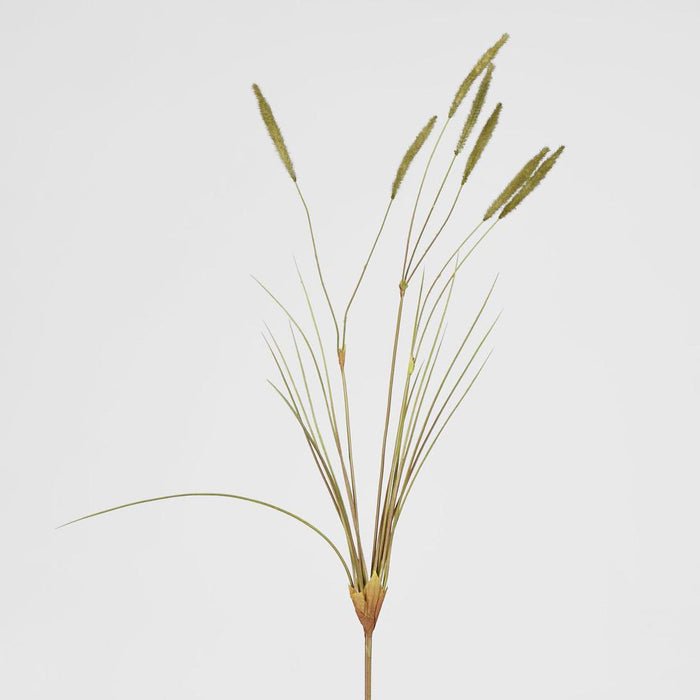 Foxtail grass Spray Green 6 pcs