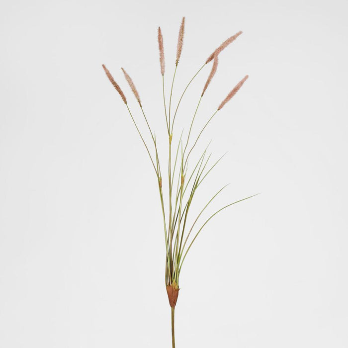 Foxtail grass Spray Pink 6 pcs