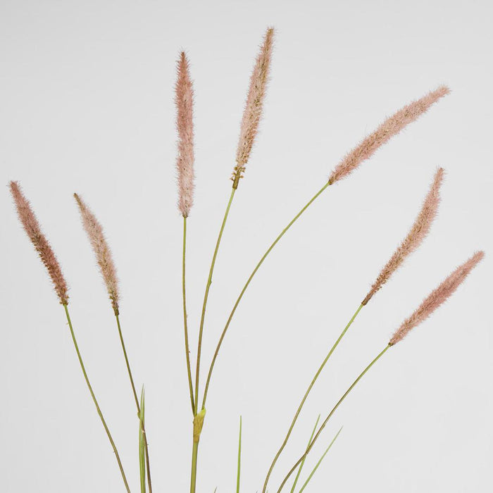 Foxtail grass Spray Pink 6 pcs