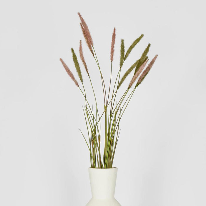Foxtail grass Spray Pink 6 pcs