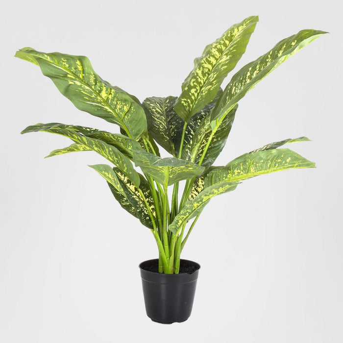 Cane Plant Real Touch in Pot Large 85cm