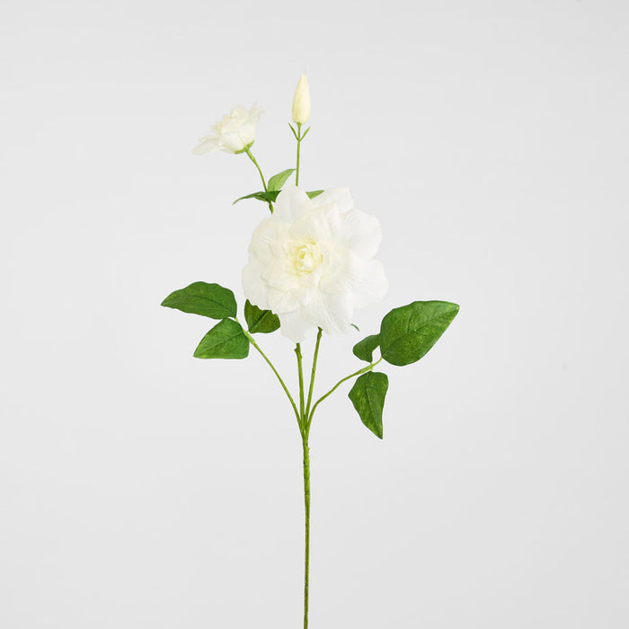 Clematis Flower White 72cm 12 pcs