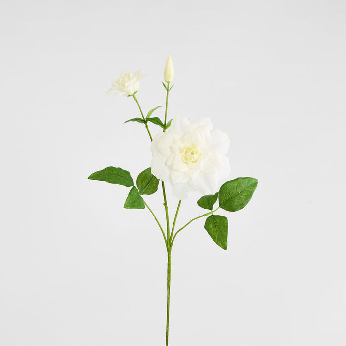 Clematis Flower White 72cm 12 pcs