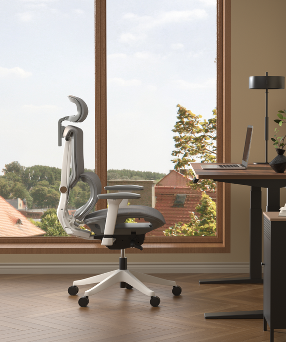 Flexispot C7 Ergonomic Mesh Back Executive Chairs Recliner High Quality Manager Mesh Office Chair