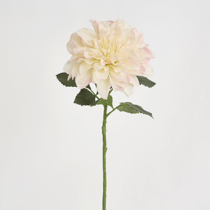 Giant Dahlia Stem 70cm Ice Pink 6 pcs