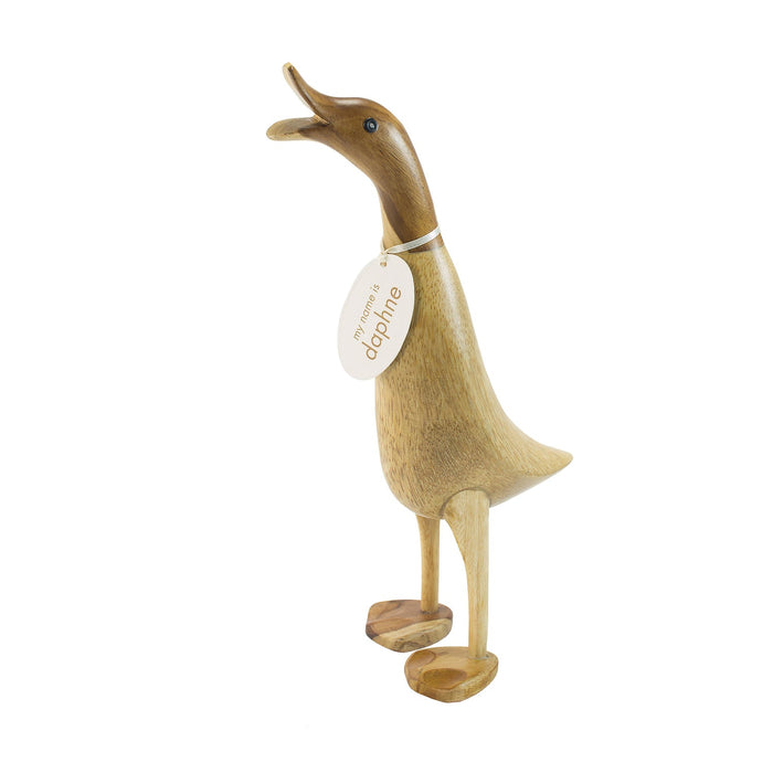 NSIMG-SHA256:17dc9bb2a1cf1d2a720d8eef093a19899692e908707f1119bdecd11d6ec49169 · Isalbi DCUK Natural Wooden Ducklet 5 Assorted