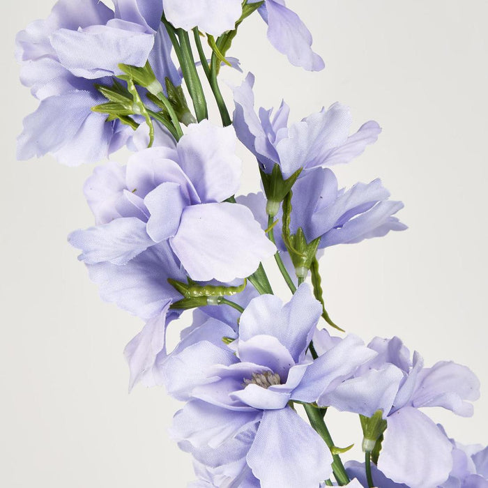 Bella Single Head Delphinium Lavender 6 pcs