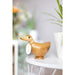 NSIMG-SHA256:955a19216a4ec9cea71b17e4df6e0506720d6ccc8f5453a3b9e2d87ff5248920 · Isalbi DCUK Natural Wooden Ducky 5 Assorted Natural