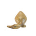 NSIMG-SHA256:56d2072ee9aa1a05cc117aba9e5a98b16a4af7b6be8b40733cd651f18df282c5 · Isalbi DCUK Natural Wooden Ducky 5 Assorted Natural