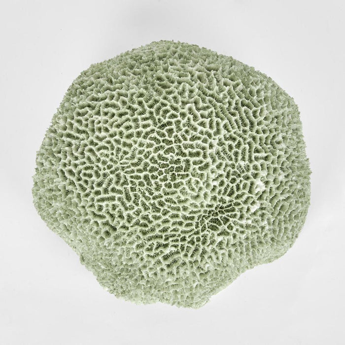 Issie Green Coral 23X21X11CM