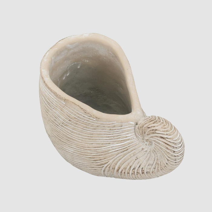 Nautica Shell Sculpture