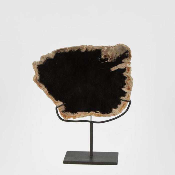 Tanah Petrified Wood Sculpture
