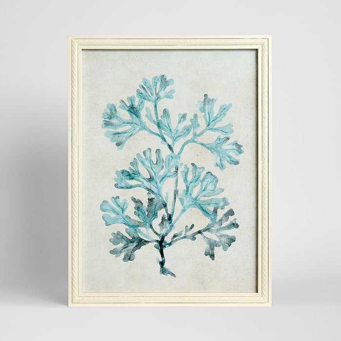 Blue Coral Study 1 Wall Art 45x60cm