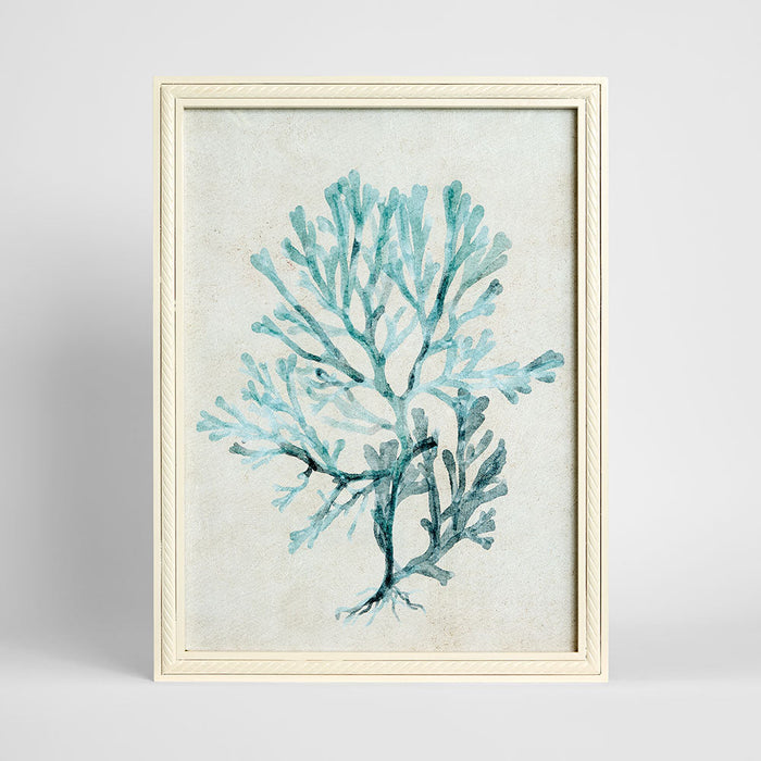 Blue Coral Study 2 Wall Art 45x60cm