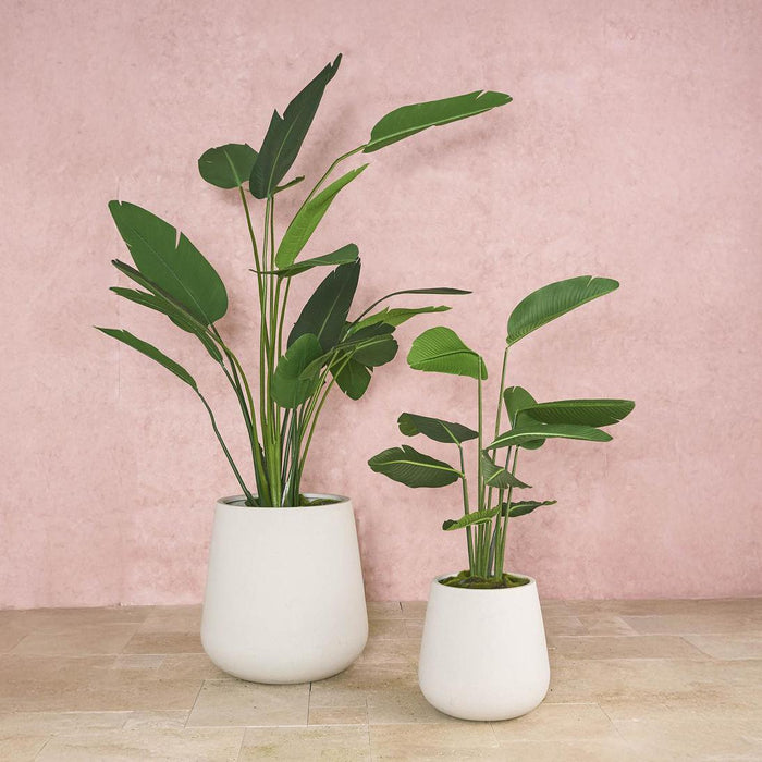 Quincy Planter Set of 3 White