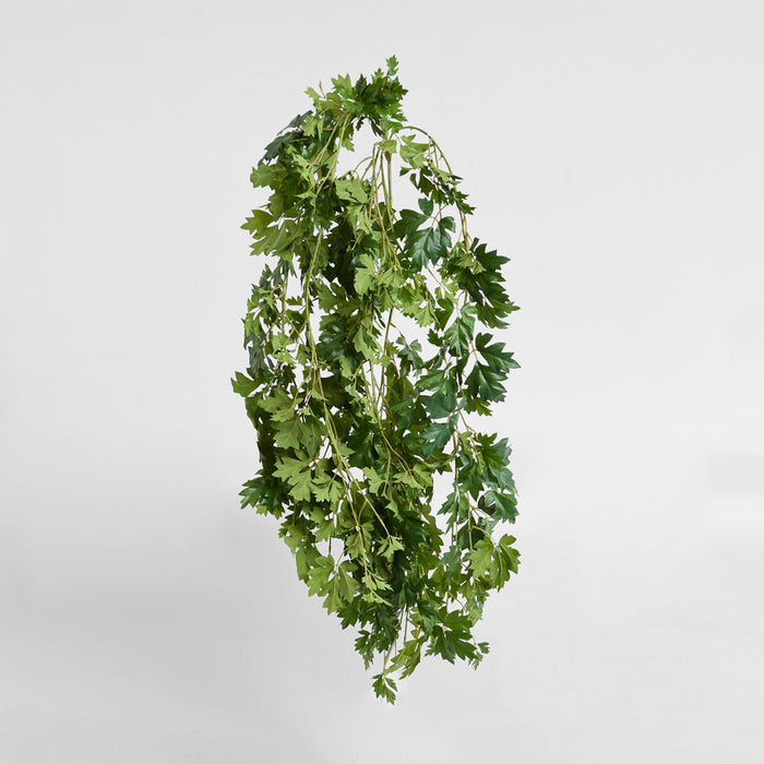 Hanging Cissus Bush 1.10m