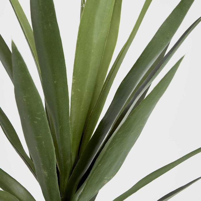 Yucca Head Green 64cm