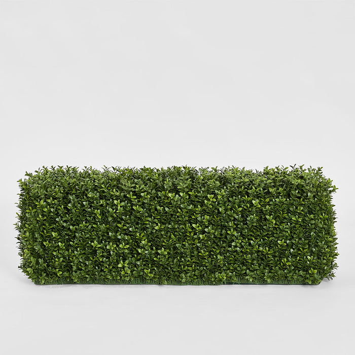 Boxwood Hedge 25x95cm