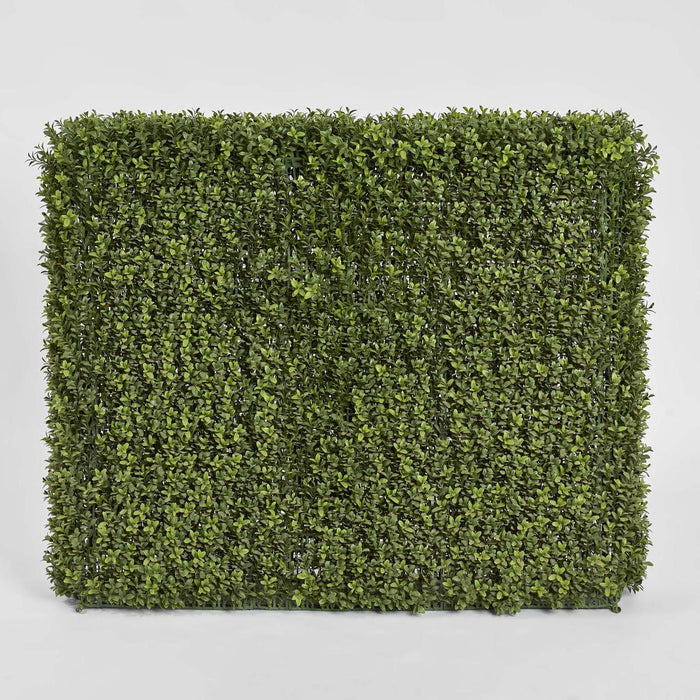 Boxwood Hedge 75x100cm